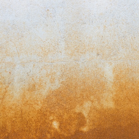 Red Clay Removal